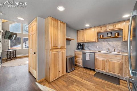 Tiny photo for 263 Wakanda Trail, Woodland Park, CO 80863 (MLS # 9275695)
