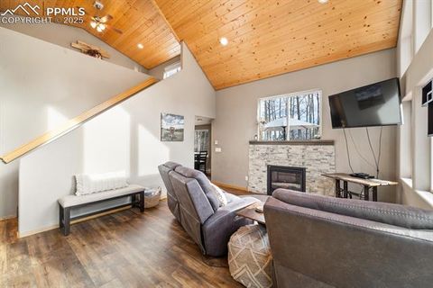 Tiny photo for 263 Wakanda Trail, Woodland Park, CO 80863 (MLS # 9275695)