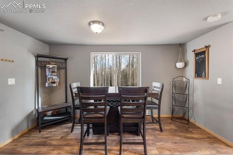 Tiny photo for 263 Wakanda Trail, Woodland Park, CO 80863 (MLS # 9275695)