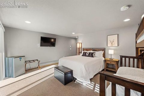 Tiny photo for 263 Wakanda Trail, Woodland Park, CO 80863 (MLS # 9275695)