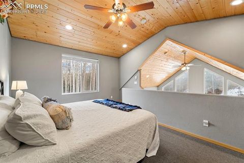 Tiny photo for 263 Wakanda Trail, Woodland Park, CO 80863 (MLS # 9275695)