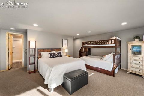 Tiny photo for 263 Wakanda Trail, Woodland Park, CO 80863 (MLS # 9275695)
