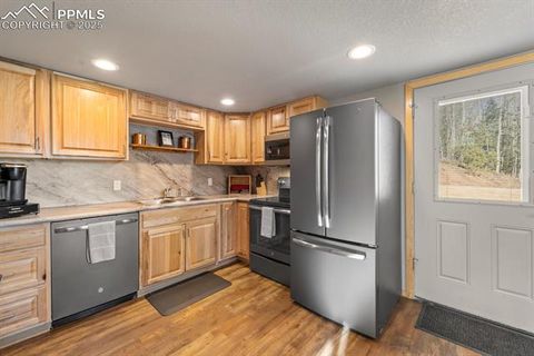 Tiny photo for 263 Wakanda Trail, Woodland Park, CO 80863 (MLS # 9275695)