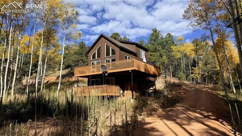 Photo of 263 Wakanda Trail, Woodland Park, CO 80863 (MLS # 9275695)