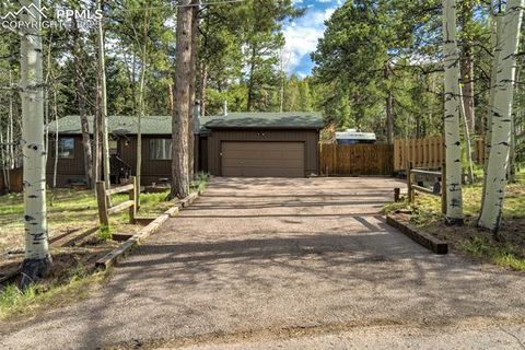 1015 Lafayette Avenue Woodland Park CO 80863