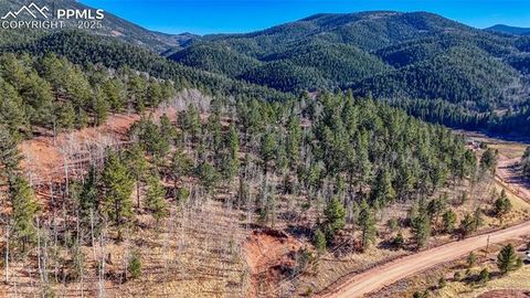 Photo of 80 Beaver Pond Road, Divide, CO 80814 (MLS # 7842729)