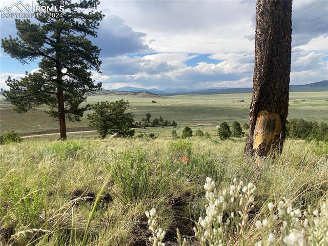 View Hartsel, CO 80449 land