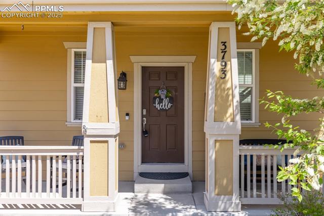 3793 Cadence Drive