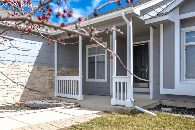 2925 Mule Shoe Drive