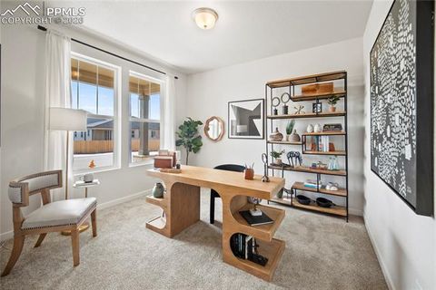 Tiny photo for 9130 Lanceleaf Drive, Colorado Springs, CO 80925 (MLS # 9671528)