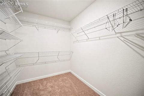 Tiny photo for 9130 Lanceleaf Drive, Colorado Springs, CO 80925 (MLS # 9671528)