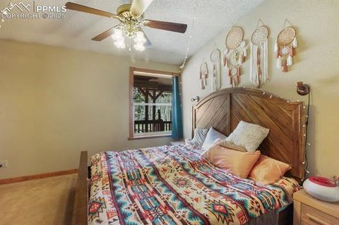 Tiny photo for 79 Beaver Creek Circle, Florissant, CO 80816 (MLS # 3375061)