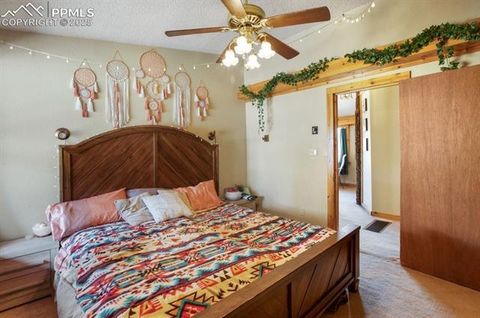 Tiny photo for 79 Beaver Creek Circle, Florissant, CO 80816 (MLS # 3375061)