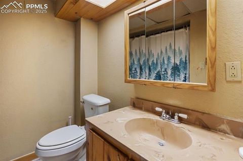 Tiny photo for 79 Beaver Creek Circle, Florissant, CO 80816 (MLS # 3375061)