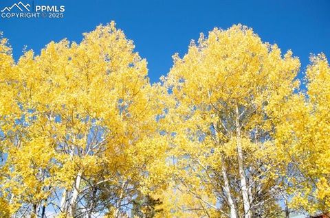 Tiny photo for 79 Beaver Creek Circle, Florissant, CO 80816 (MLS # 3375061)
