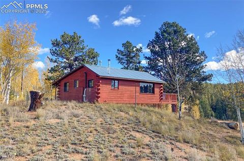 Tiny photo for 79 Beaver Creek Circle, Florissant, CO 80816 (MLS # 3375061)