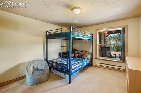 Tiny photo for 79 Beaver Creek Circle, Florissant, CO 80816 (MLS # 3375061)