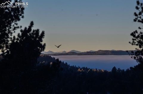 Tiny photo for 79 Beaver Creek Circle, Florissant, CO 80816 (MLS # 3375061)
