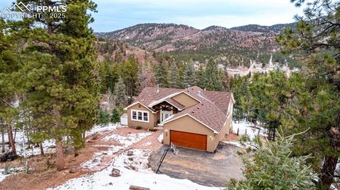 556 Crystola Court Woodland Park CO 80863