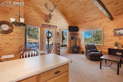 Tiny photo for 526 Wakanda Trail, Woodland Park, CO 80863 (MLS # 3432905)