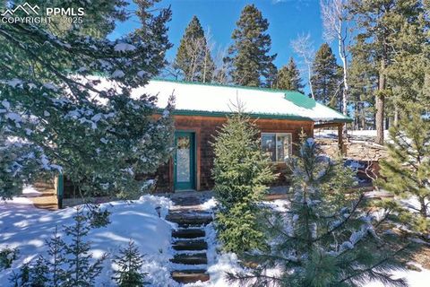 Tiny photo for 526 Wakanda Trail, Woodland Park, CO 80863 (MLS # 3432905)