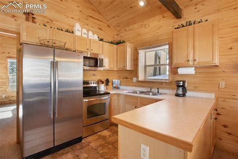Tiny photo for 526 Wakanda Trail, Woodland Park, CO 80863 (MLS # 3432905)