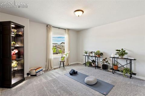 Tiny photo for 9912 Bison Valley Trail, Colorado Springs, CO 80908 (MLS # 4103051)