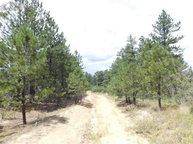 R0173956 Pasque Court, Larkspur, CO, 80118 R0173956 Pasque Court