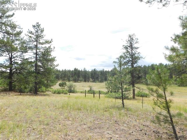 R0173956 Pasque Court, Larkspur, CO, 80118 R0173956 Pasque Court