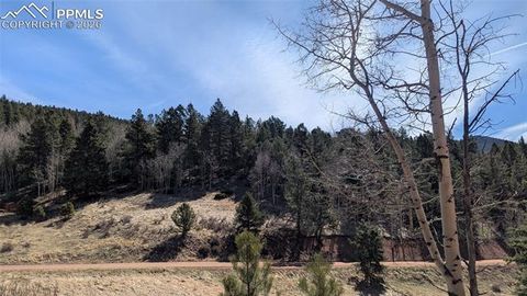 Photo of 136 Valley Road, Divide, CO 80814 (MLS # 1869018)
