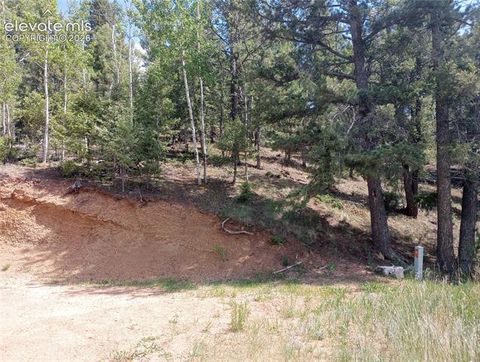 Photo of 138 Glenwood Lane, Woodland Park, CO 80863 (MLS # 5735906)