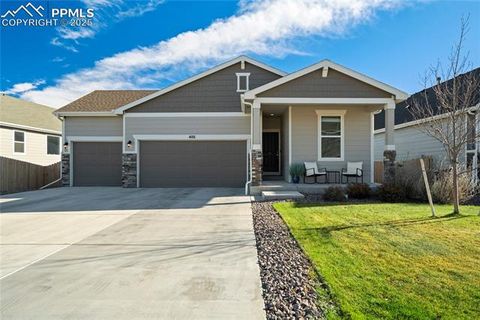 Photo of 4101 Ryedale Way, Colorado Springs, CO 80922 (MLS # 3812766)