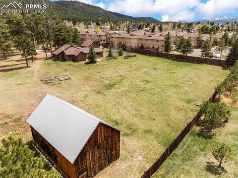 Tiny photo for 1100 Rampart Range Road, Woodland Park, CO 80863 (MLS # 7403928)