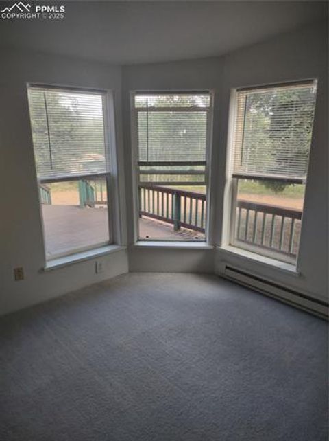 Tiny photo for 350 Brooks Lane, Woodland Park, CO 80863 (MLS # 3887816)