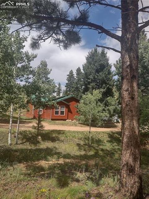 Tiny photo for 350 Brooks Lane, Woodland Park, CO 80863 (MLS # 3887816)