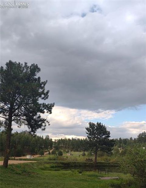 Tiny photo for 350 Brooks Lane, Woodland Park, CO 80863 (MLS # 3887816)