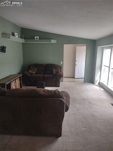 Tiny photo for 350 Brooks Lane, Woodland Park, CO 80863 (MLS # 3887816)