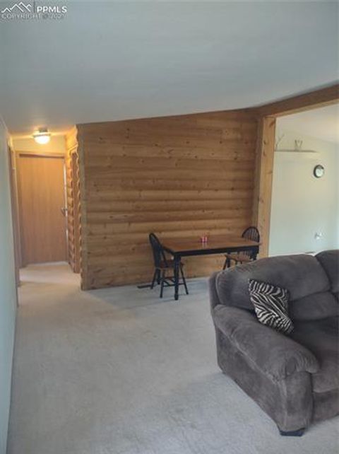 Tiny photo for 350 Brooks Lane, Woodland Park, CO 80863 (MLS # 3887816)