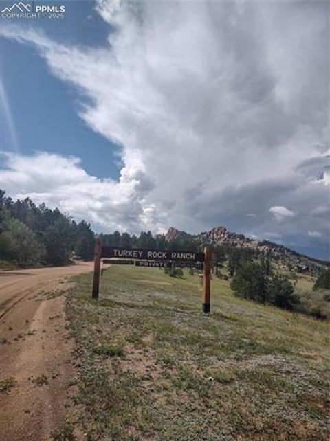 Tiny photo for 350 Brooks Lane, Woodland Park, CO 80863 (MLS # 3887816)
