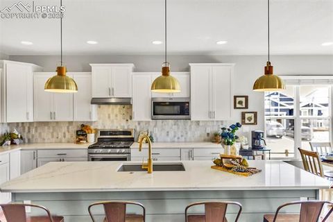 Tiny photo for 1444 Captiva Beach Lane, Monument, CO 80132 (MLS # 4105946)