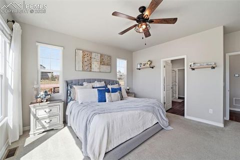 Tiny photo for 1444 Captiva Beach Lane, Monument, CO 80132 (MLS # 4105946)