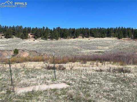 TBD Highway 24 Florissant CO 80816