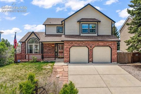 Photo of 8710 Alpine Valley Drive, Colorado Springs, CO 80920 (MLS # 5097628)