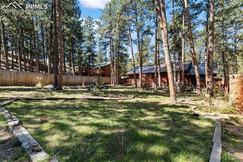 Tiny photo for 305 N Walnut Street, Woodland Park, CO 80863 (MLS # 8069893)
