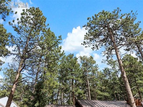 Tiny photo for 305 N Walnut Street, Woodland Park, CO 80863 (MLS # 8069893)