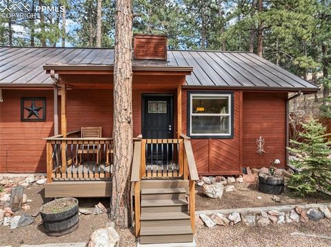 Tiny photo for 305 N Walnut Street, Woodland Park, CO 80863 (MLS # 8069893)