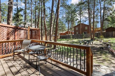 Tiny photo for 305 N Walnut Street, Woodland Park, CO 80863 (MLS # 8069893)
