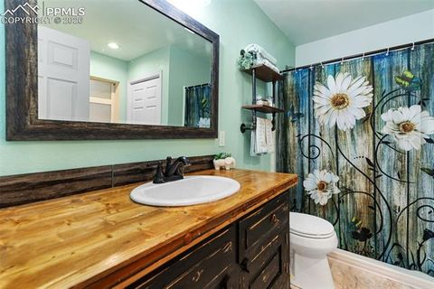 Tiny photo for 305 N Walnut Street, Woodland Park, CO 80863 (MLS # 8069893)