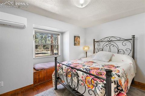 Tiny photo for 305 N Walnut Street, Woodland Park, CO 80863 (MLS # 8069893)