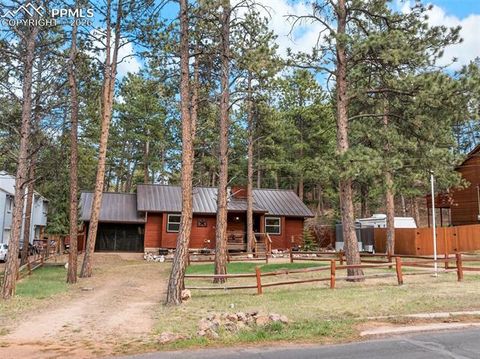 Tiny photo for 305 N Walnut Street, Woodland Park, CO 80863 (MLS # 8069893)
